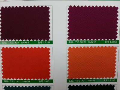 SD-DGYE   滌棉紗卡  T/C  21*21  108*58 細節-21